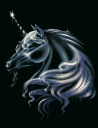 Black and Silver Unicorn