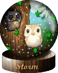 Owl Globe